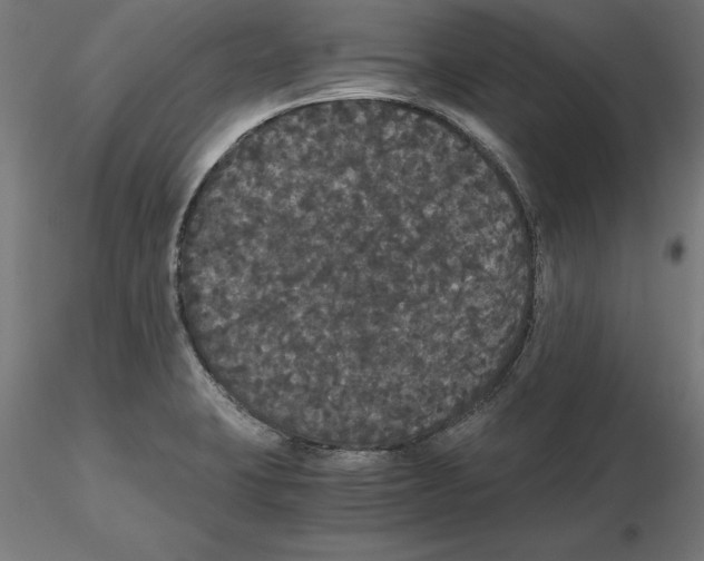 X0000116481423201001061110