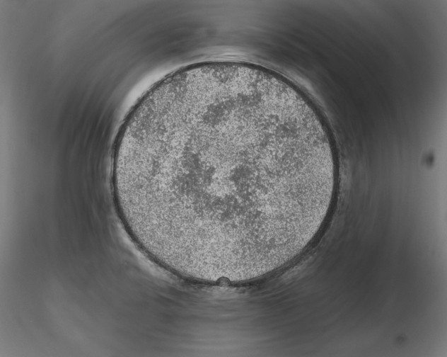 X0000116481424201001061110