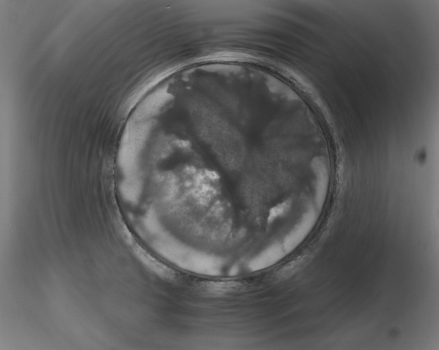 X0000116481425201001061111