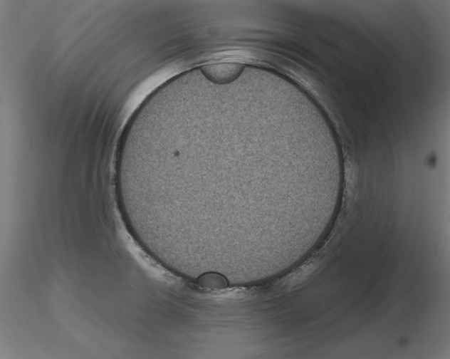 X0000116481426201001061111