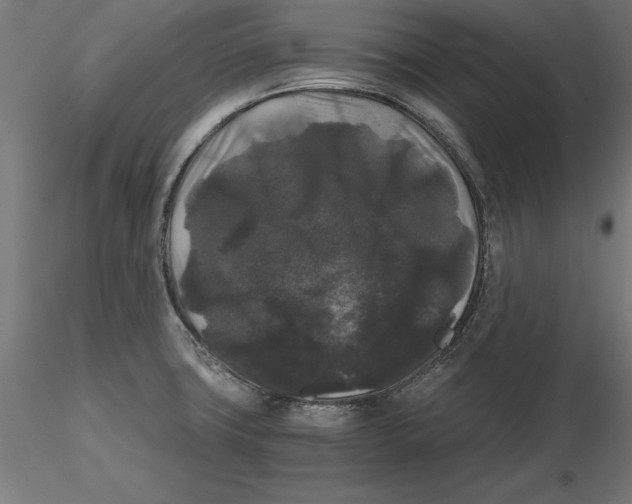 X0000116481427201001061111