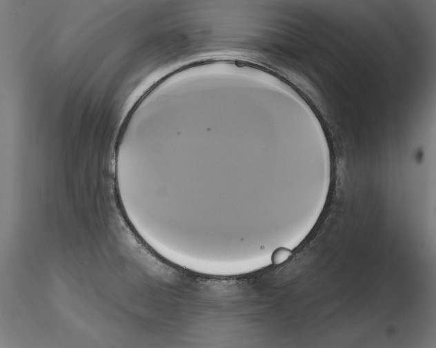 X0000116481428201001061111