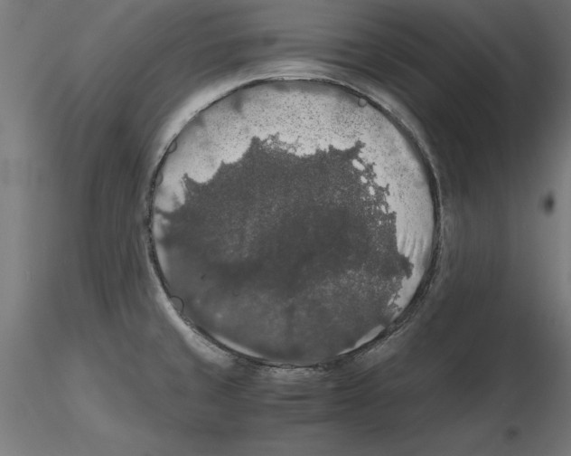 X0000116481429201001061111