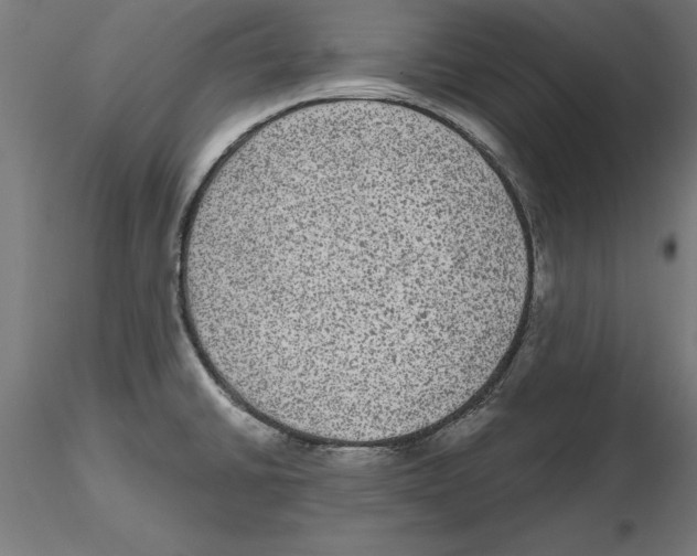 X0000116481430201001061111