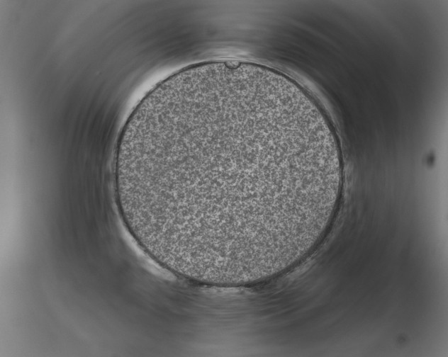 X0000116481432201001061111