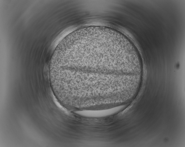 X0000116481433201001061111