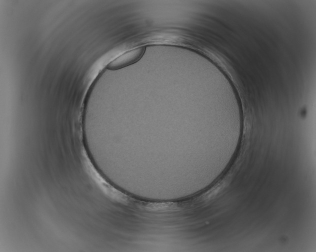 X0000116481434201001061111