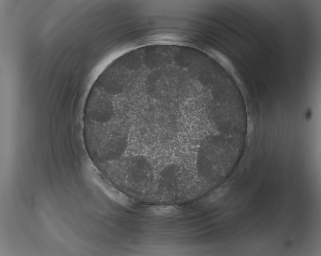 X0000116481435201001061111