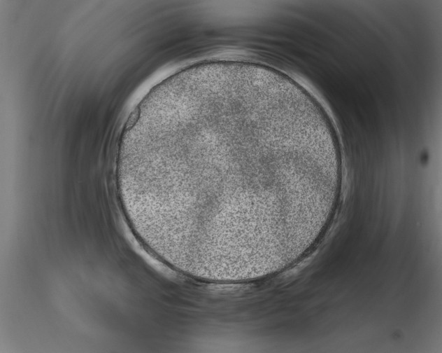 X0000116481437201001061111