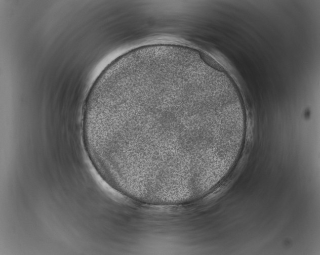 X0000116481438201001061111