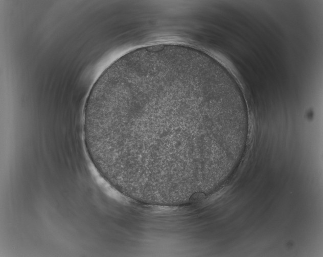 X0000116481439201001061111