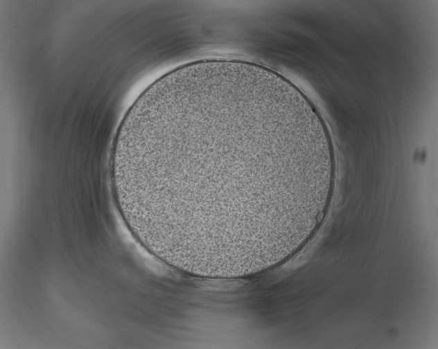 X0000116481440201001061111