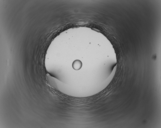 X0000116481441201001061110