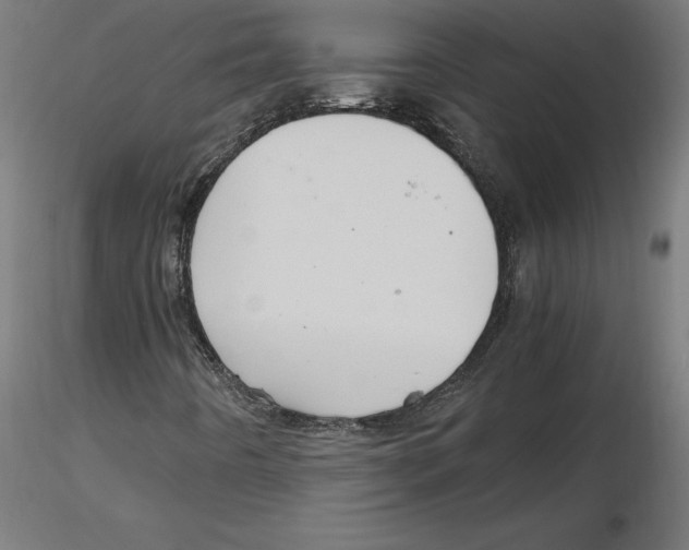 X0000116481442201001061110