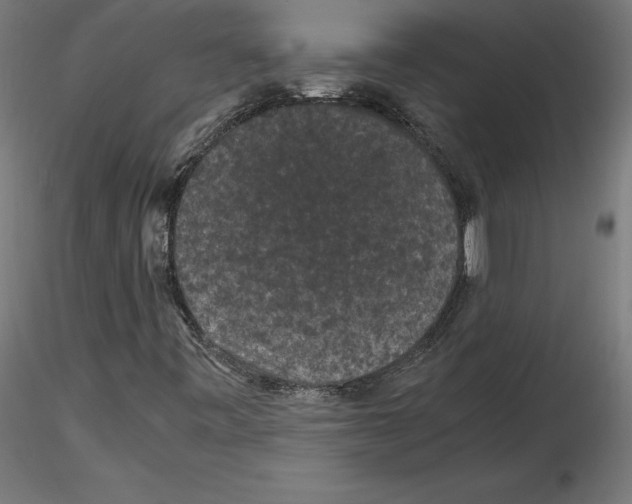 X0000116481443201001061110