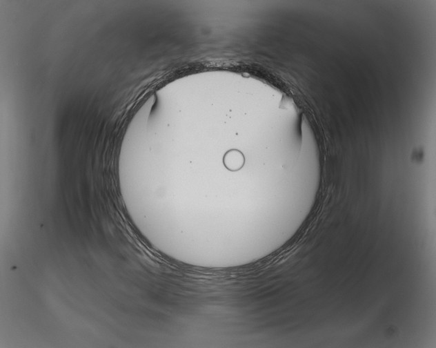 X0000116481444201001061110