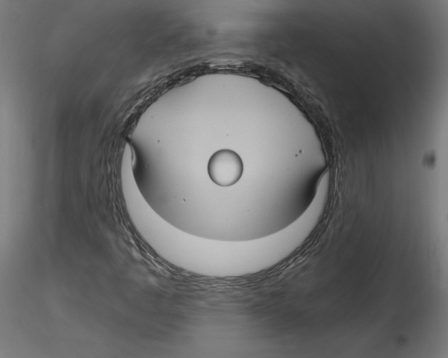 X0000116481445201001061110