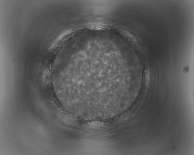 X0000116481446201001061110