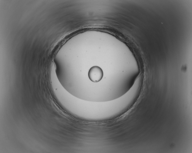 X0000116481449201001061110