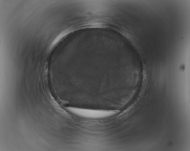 X0000116481450201001061110