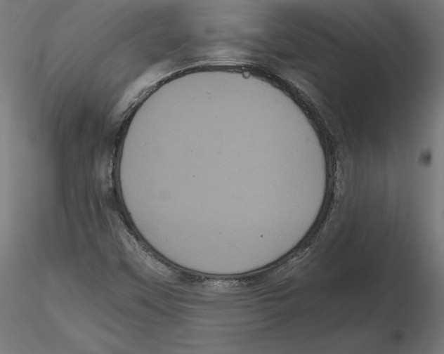 X0000116481451201001061110