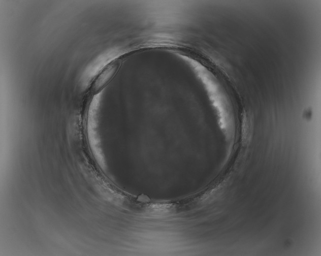 X0000116481453201001061110