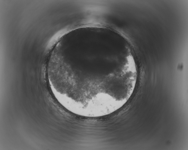 X0000116481455201001061110