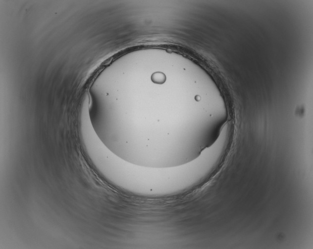 X0000116481457201001061110