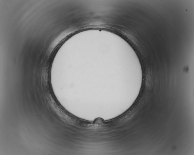 X0000116481458201001061110