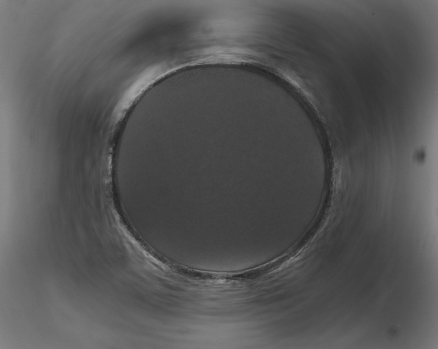 X0000116481459201001061110