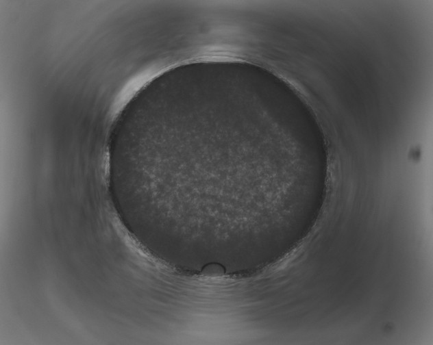 X0000116481461201001061110