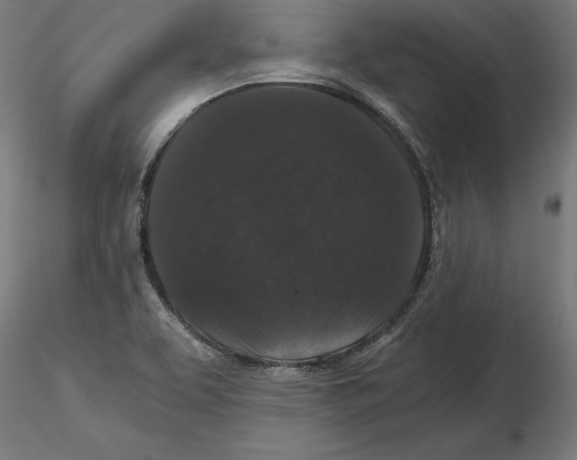 X0000116481463201001061110