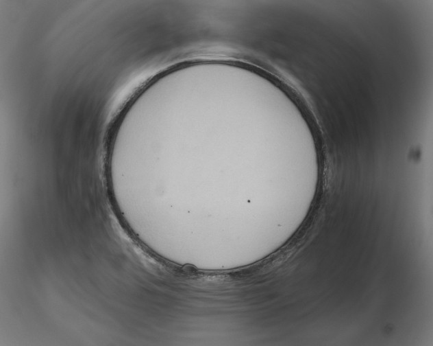 X0000116481464201001061110