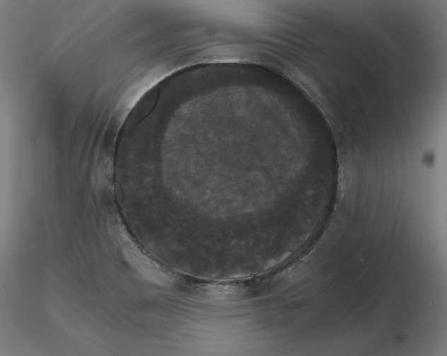 X0000116481465201001061110