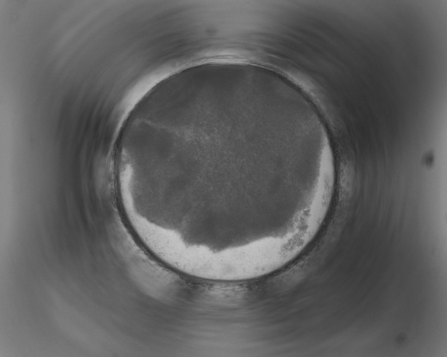 X0000116481466201001061110