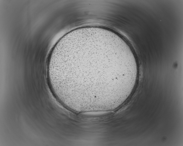 X0000116481467201001061110