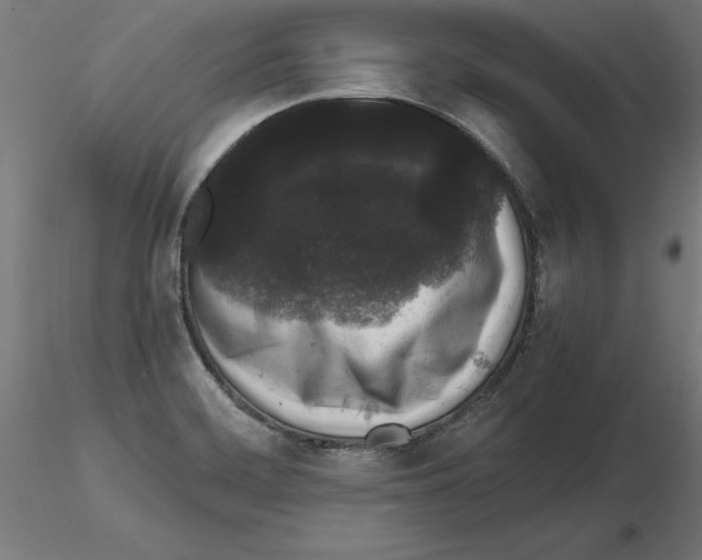 X0000116481468201001061110