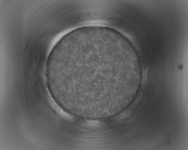 X0000116481470201001061110