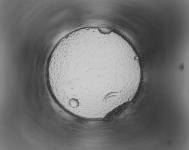 X0000116481471201001061110