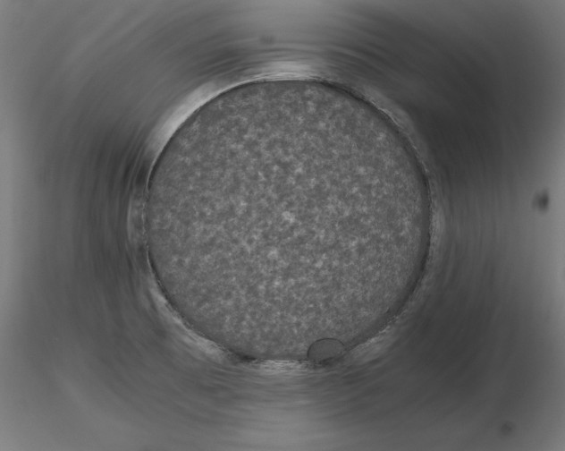 X0000116481473201001061110