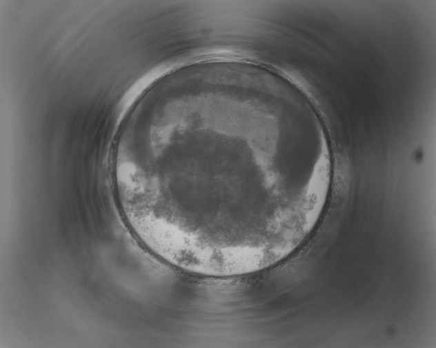 X0000116481474201001061110