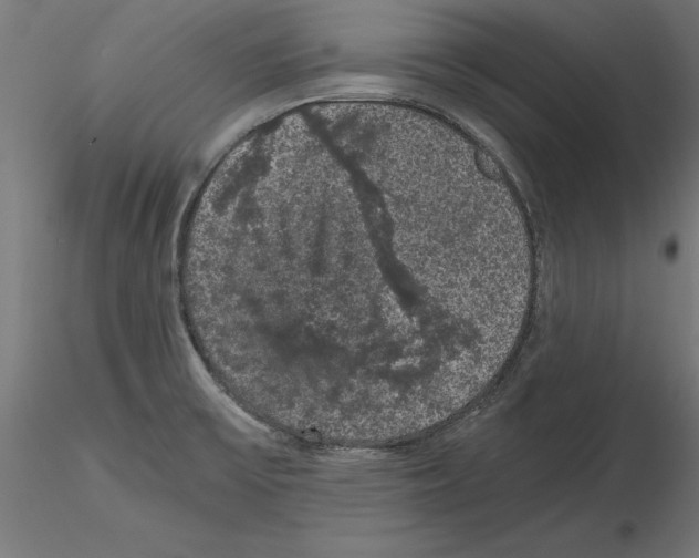 X0000116481475201001061110