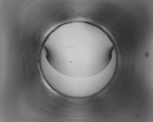 X0000116481476201001061110