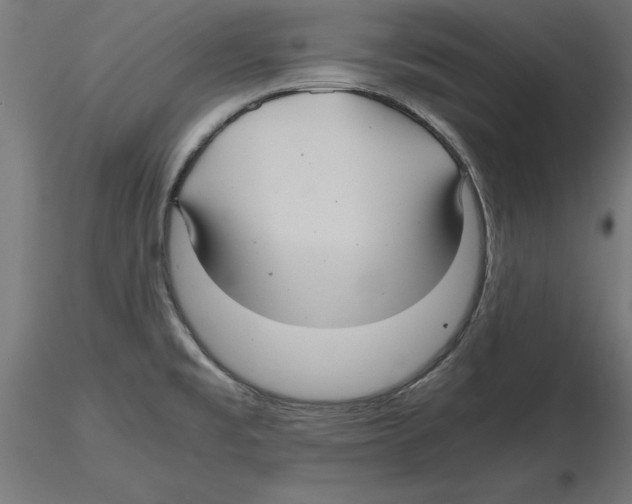 X0000116481477201001061110