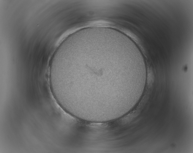 X0000116481478201001061110