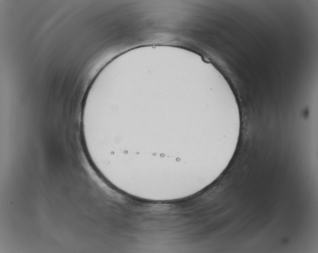 X0000116481479201001061110