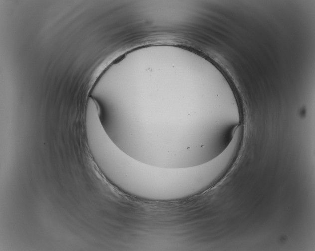 X0000116481481201001061110