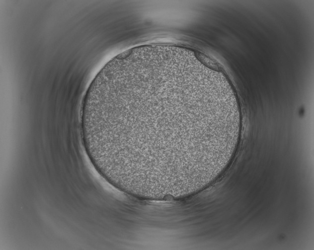 X0000116481483201001061109