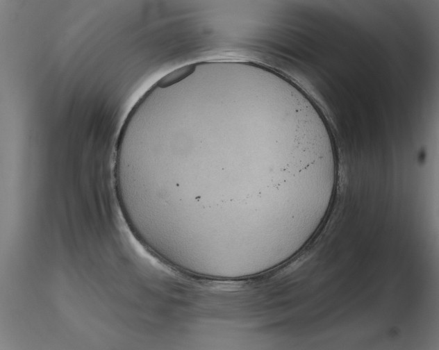 X0000116481484201001061109