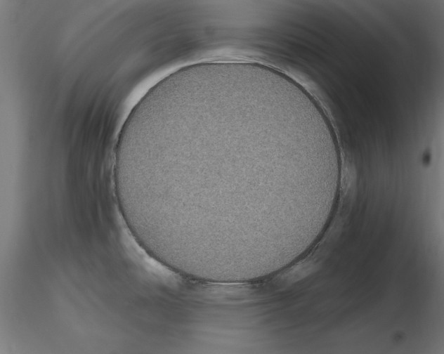 X0000116481486201001061109